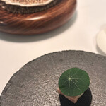 Installation Table ENSO L'asymetrie du calme - 