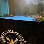 ダイニングバー サカナザ - 