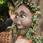 レインフォレストカフェ・トーキョー - 