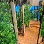 隠れ家焼肉 ニクノトリコ 六本木 - 