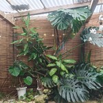 ジャンジャン - ガラス越しの１枚。