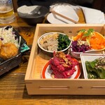 ハイコロトンボ - 