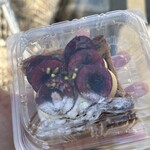 メゾン ムラタ - 