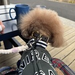 BLUE SIX COFFEE - テラス席