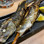 備長炉端 だいやめ - 