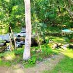 グランピング リゾート ヴィーナス - 朝の雰囲気