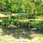 グランピング リゾート ヴィーナス - 朝の雰囲気