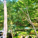 グランピング リゾート ヴィーナス - 朝の雰囲気