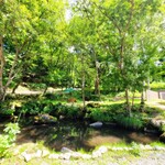 グランピング リゾート ヴィーナス - 朝の雰囲気