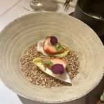 デルフィーナ - 