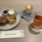 紅茶専門店 amsu tea house TOKYO - 
