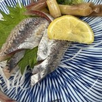 サカトケ乃カミ - 