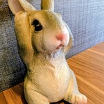 Queue de Lapin.cafe - 一緒に悩んでくれました