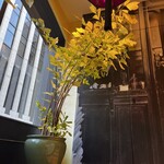 マリアージュフレール 銀座松屋通り店 - 