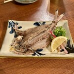 肴蔵 - ぐるくんの一夜干し