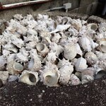 ファミリーれすとらん ひろせ 寿し正 - 店前の様子