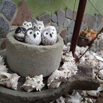 ファミリーれすとらん ひろせ 寿し正 - 店前の様子