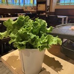 屋台酒場バッテン - 