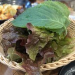 韓国料理ニクロー 所沢 - 