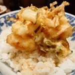 車海老専科 天麩羅 手一束 - 車海老のかき揚げ丼　ぶつ切りの車海老の歯ごたえ噛み応えが芝海老のかき揚げとは全くの別物です