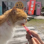 あざま共同売店 - 