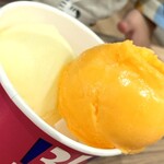 サーティワンアイスクリーム アリオ橋本店 - これこれ‼友の。今日は4人で行動ｗｗｗオレンジシャーベットとりんごシャーベット♡♡