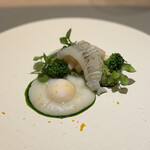 arbreims - スミイカとカブ、ライム