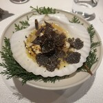 レフェルヴェソンス - 