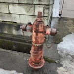 珈琲乃舗いしかわ - 消火栓