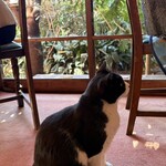 ガレージ ブルーベル - 