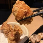 鳥開総本家 - 
