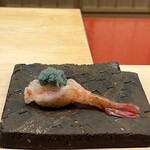 鮨 陸 - 牡丹海老 北海道増毛より