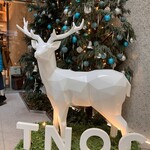 TNOC THE CAFE SAPPORO T4 - 