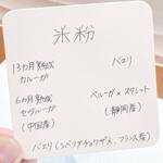 對馬 - 本日のラインナップ