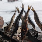 民宿 青塚食堂 - 