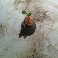 ルカンケ - 