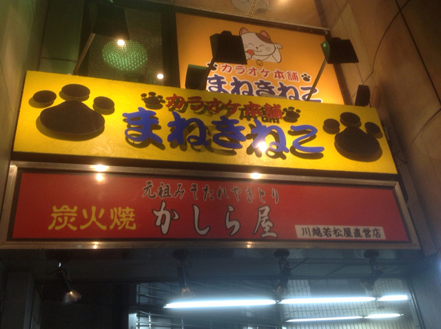 まねきねこ 浦和店 浦和 その他 食べログ