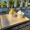 Ikemajima gelato cafe Ninufa