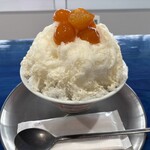 10‐10totsukitouka - 金柑甘酒 通常サイズ