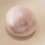 レミニセンス - 寒熟苺