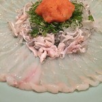 料理ふじ味 - 虎河豚の刺身