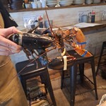 ソルティー オイスター ハウス - 活ロブスター二尾