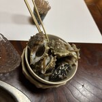 正木 - 