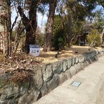 はごろも発酵食堂 - 