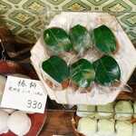 まるに抱き柏 - 