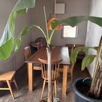 ナチュラル　カフェイーナ - 