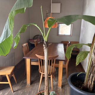 ナチュラル カフェイーナ_2