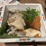 鯛之鯛 難波店 - 