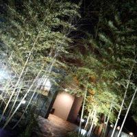 紗羅餐 本店 - 竹林に優しく包まれた佇まい√