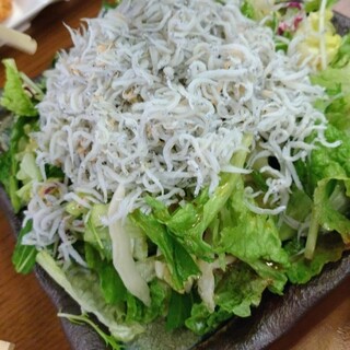 大衆酒場 朝霞 ミフネ_0